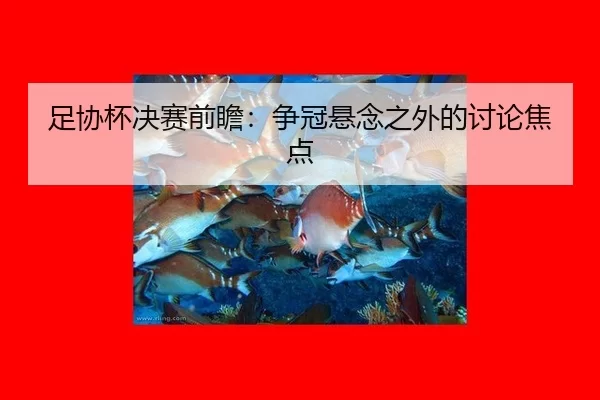 足协杯决赛前瞻：争冠悬念之外的讨论焦点